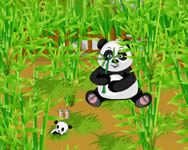 Kung Fu Panda - Panda wild farm